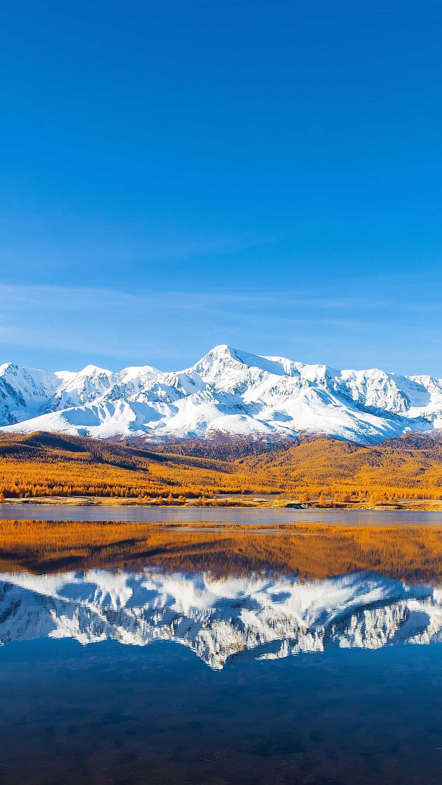 《零基础搭建专属FTP服务器：5步搞定私人文件共享空间》